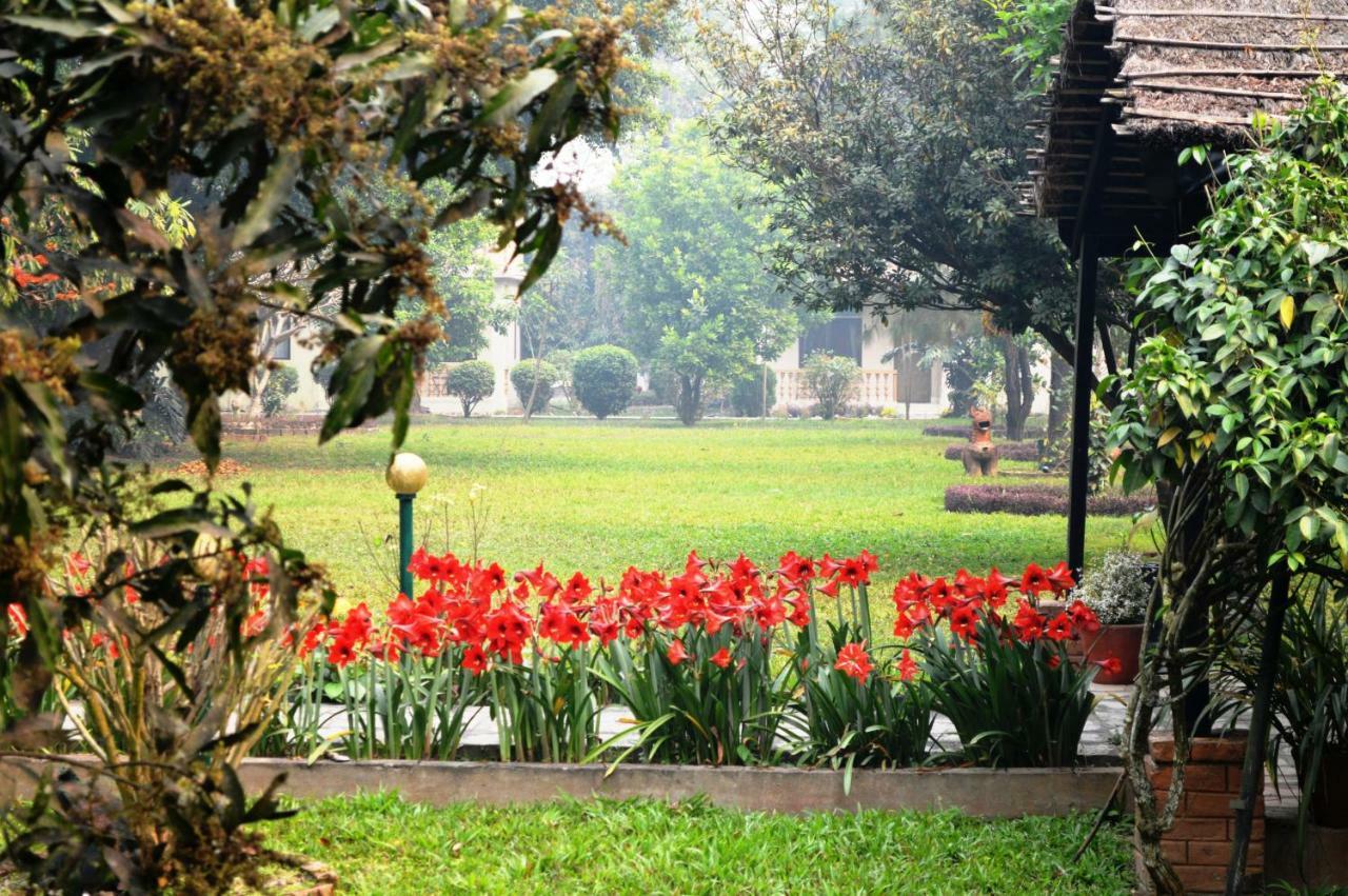 Chitwan Paradise Hotel Sauraha Kültér fotó