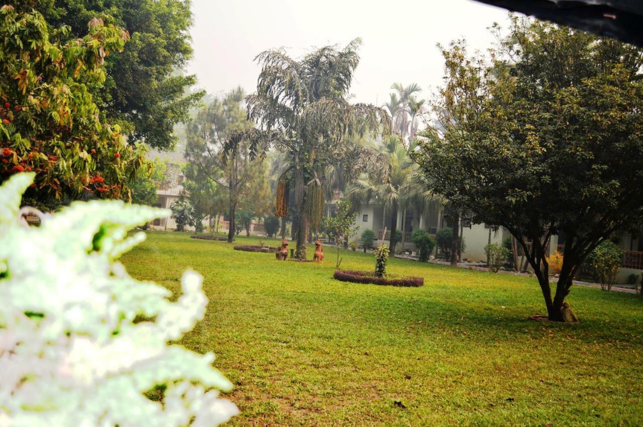 Chitwan Paradise Hotel Sauraha Kültér fotó