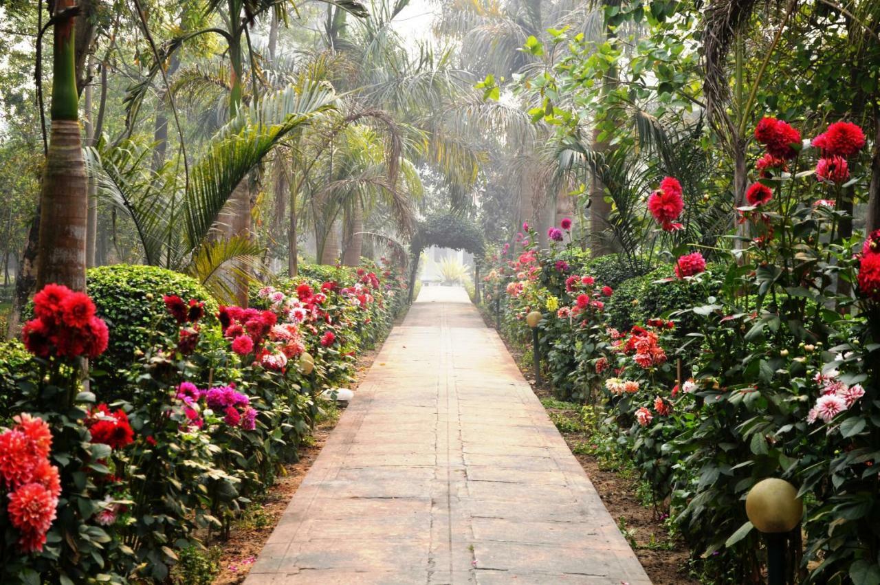 Chitwan Paradise Hotel Sauraha Kültér fotó
