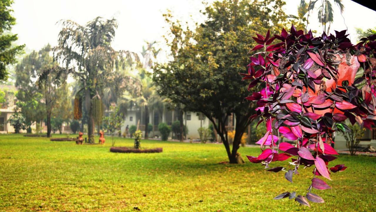 Chitwan Paradise Hotel Sauraha Kültér fotó
